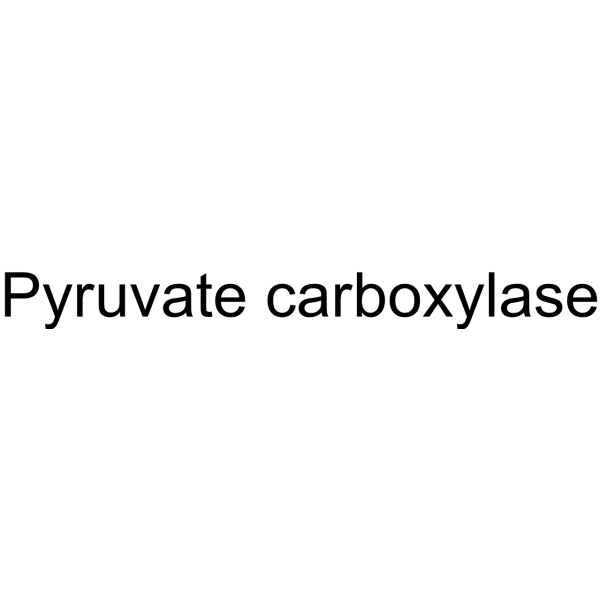 Pyruvate carboxylase 9014-19-1